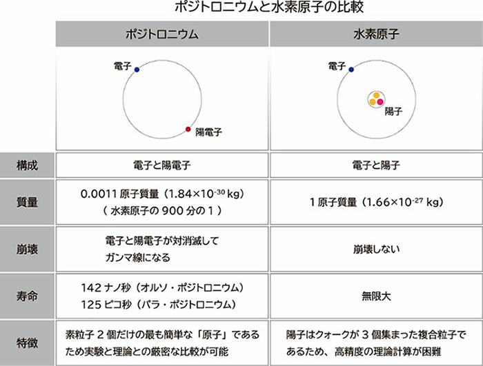 ポジトロニウムと水素原子の比較