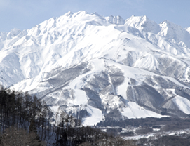 白馬村の写真